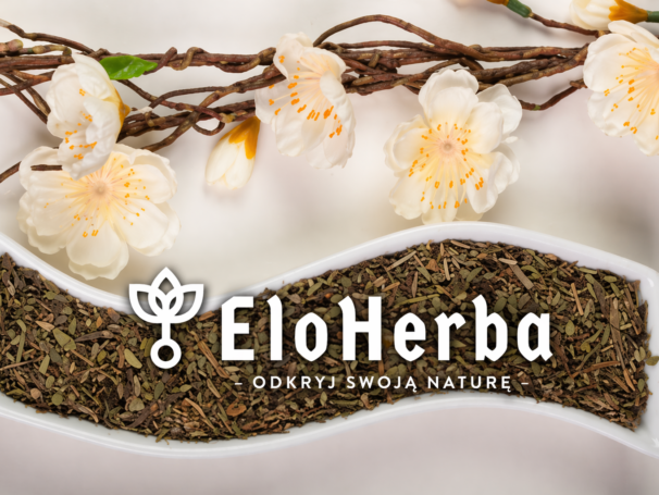 BABKA LANCETOWATA liść