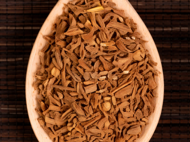 KOZŁEK LEKARSKI korzeń.