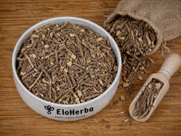 KOZŁEK LEKARSKI korzeń.