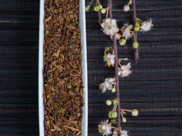 MELISA LEKARSKA ziele