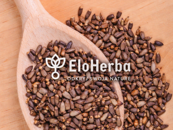 OSTROPEST PLAMISTY ziarno.