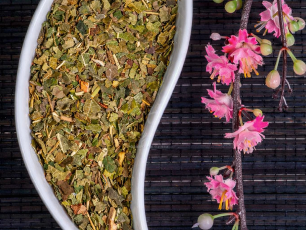 MORWA BIAŁA liść.