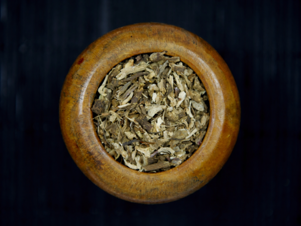 JEŻÓWKA Echinacea Korzeń