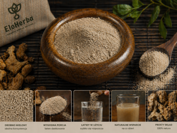 IMBIR korzeń sproszkowany