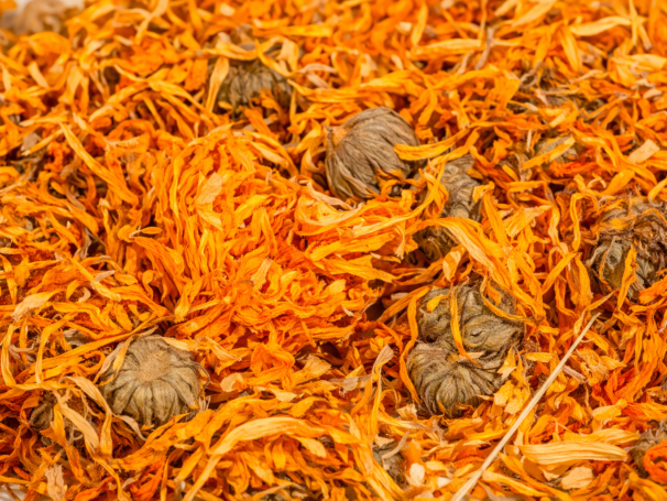 NAGIETEK kwiat cały