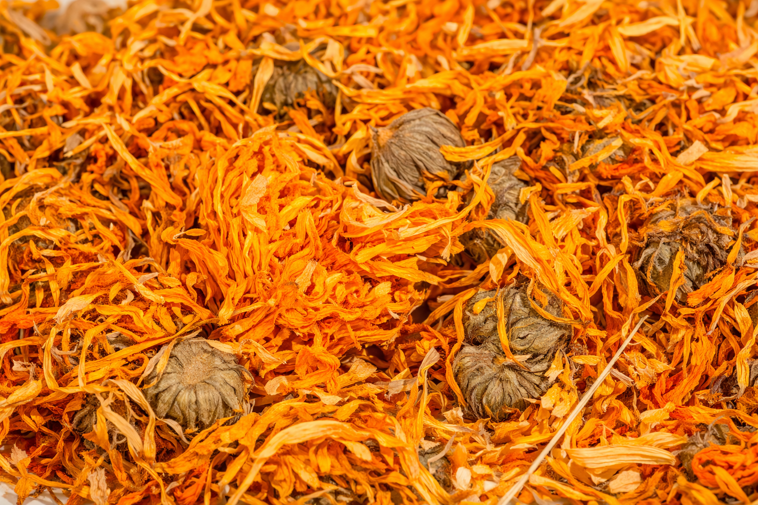 NAGIETEK kwiat cały